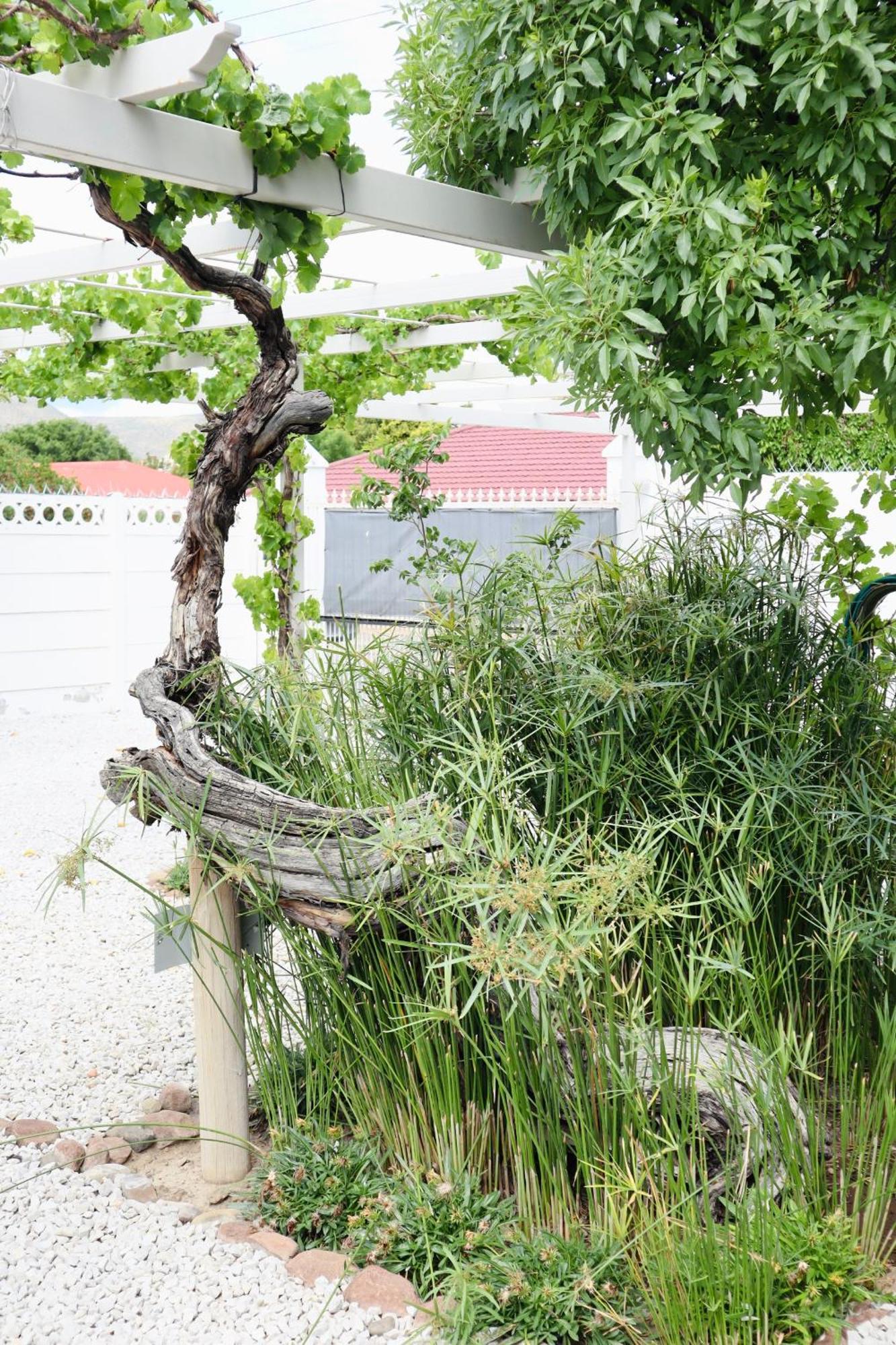 River Bend Cottages Graaff-Reinet Exterior foto